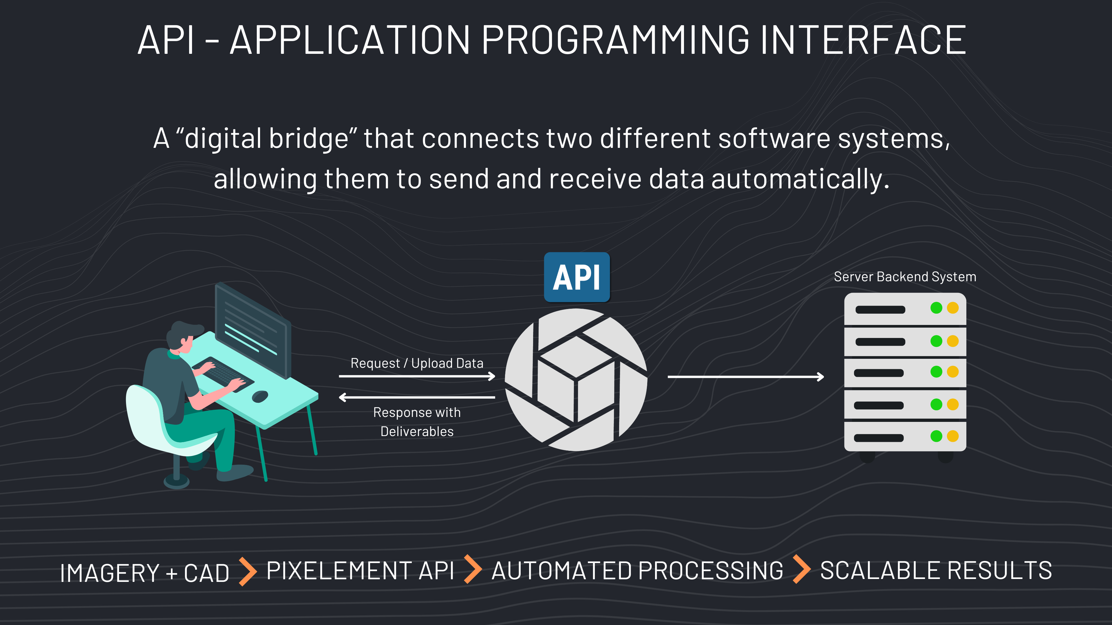 {API Definitions}