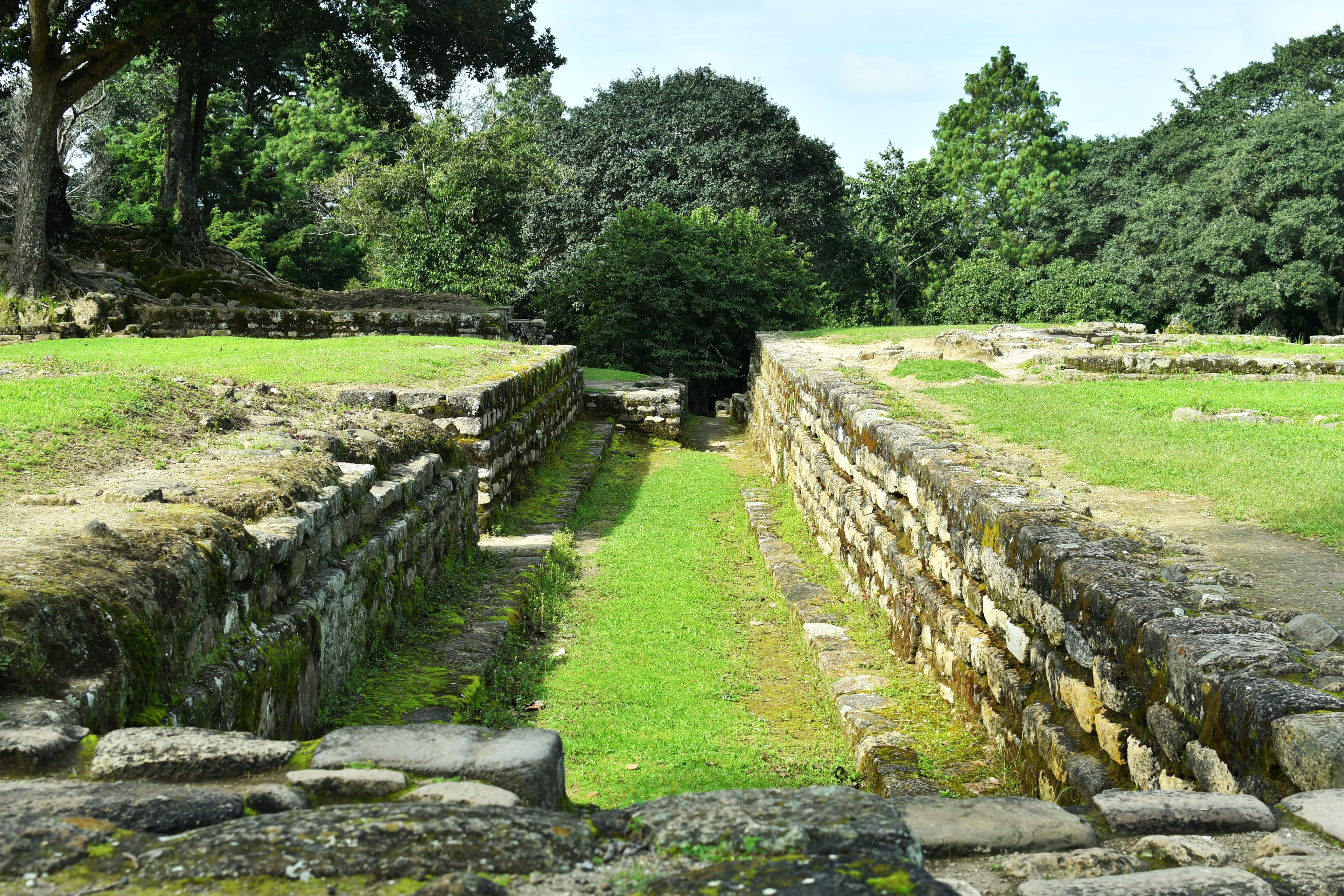 Slide 4