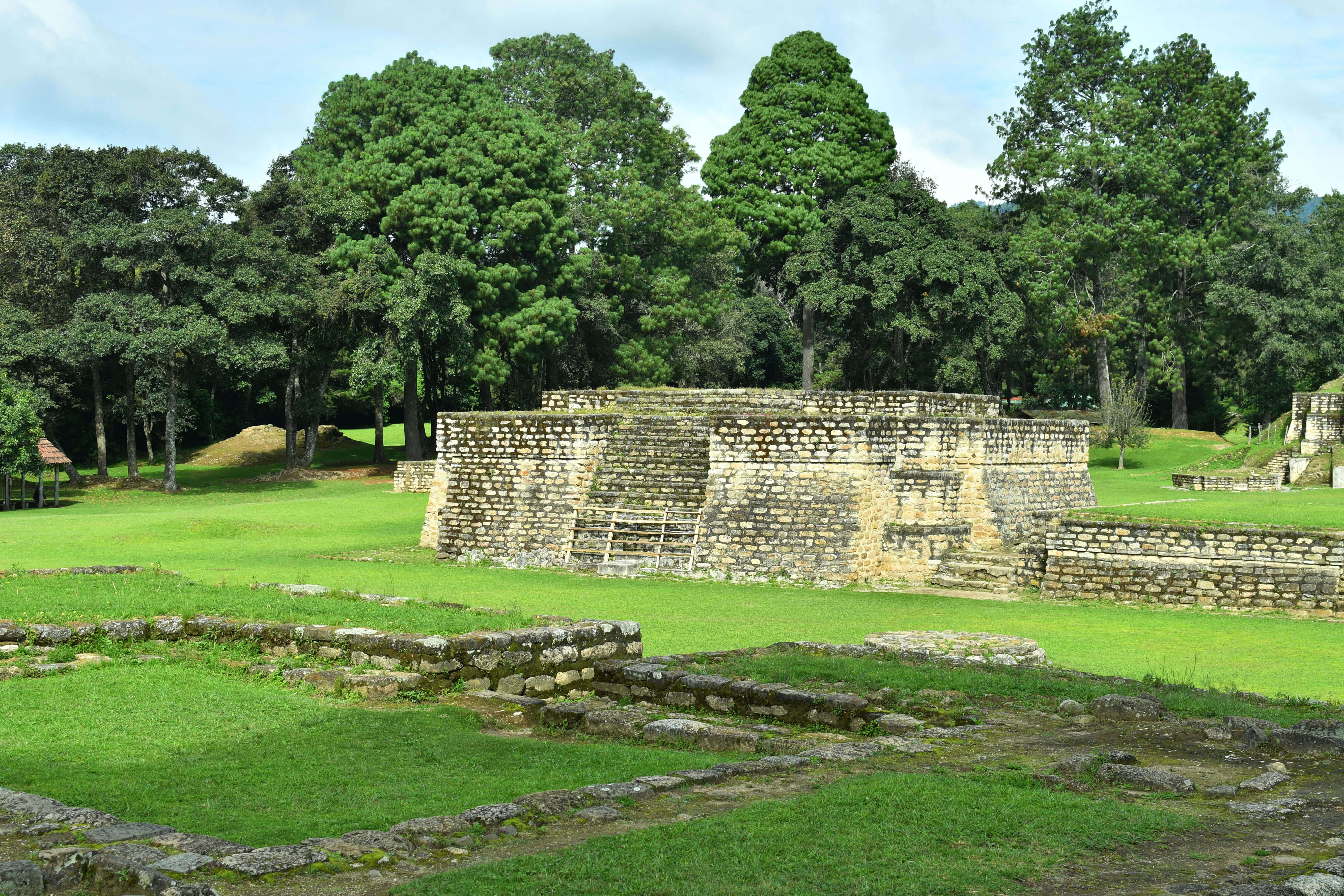 Slide 6